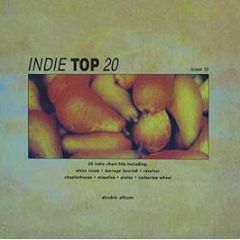 Various Artists - Indie Top 20 (Volume 13) - Beechwood Music