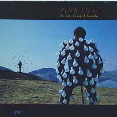 Pink Floyd - Delicate Sound Of Thunder - EMI