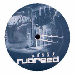 Alex Calver & Mike Andrews - Wig Wam Bam - Nu Breed