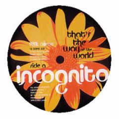 Incognito - Raise - Dome