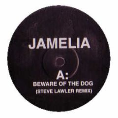 Faithless / Jamelia - Insomnia / Beware Of The Dog (Remixes) - White