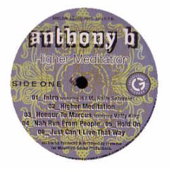 Anthony B - Higher Meditation - Greensleeves