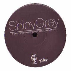 Shiny Grey - Why (Wally Lopez Remix) - Vendetta