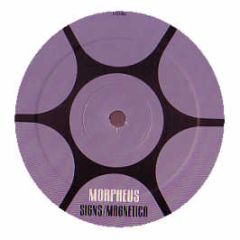 Morpheus - Signs - Captivating