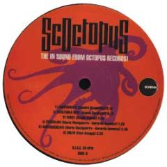 Various Artists - Scoctopus - Octopus