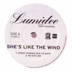 Lumidee & Tony Sunshine - She's Like The Wind - TVT