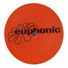 Dt8 Project - Hold Me Till The End - Euphonic