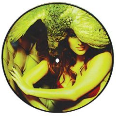Siobhan Donaghy - Dont Give It Up (Picture Disc) - Parlophone