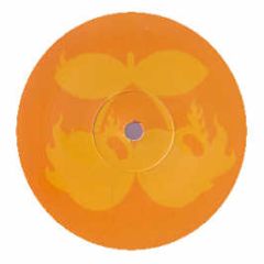 Kc Taylor - Terrassa - Pacha Orange
