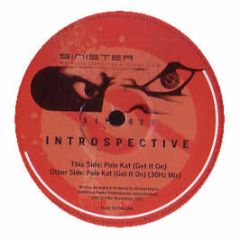 Introspective - Pole Kat - Sinister