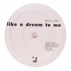 Kevin Yost - Like A Dream To Me - I! Records