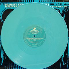 Andrew Richley & Ryan Rivera - Protect Your Soul EP (Blue Vinyl) - Primate Endangered Species