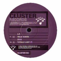 Ap / Zoid - True North / Totally Lost It! - Cluster