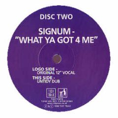 Signum - What Ya Got 4 Me (Disc Two) - Tidy Trax
