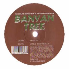 Felipe & Nicolas Bacher - Banyan Tree - Cuba
