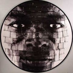 Seal - Amazing (Thin White Duke Remix) (Picture Disc) - Warner Bros