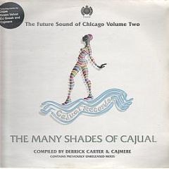 Derrick Carter Presents - Future Sound Of Chicago Volume 2 - Ministry Of Sound