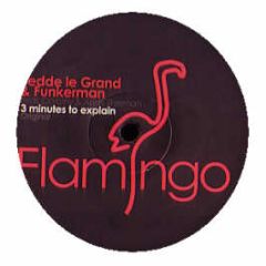 Fedde Le Grand & Funkerman - 3 Minutes To Explain - Flamingo