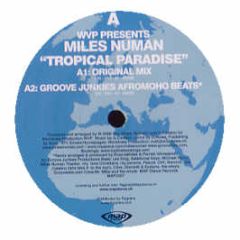 Wvp Presents Miles Numan - Tropical Paradise - Map Dance