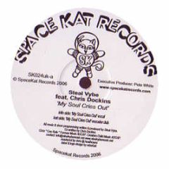 Steal Vybe Feat Chris Dockins - My Soul Cries Out - Space Kat Records