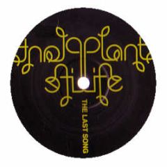 Plant Life - The Last Song - Gut Records