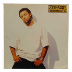 Shaggy - Boombastic - Virgin