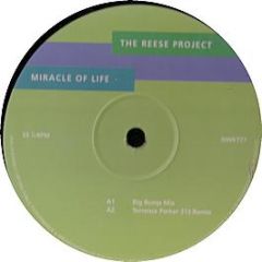 Reese Project - Miracle Of Life - Network