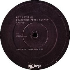 Roy Davis Jr - Gabriel (Basement Jaxx Remixes) - XL