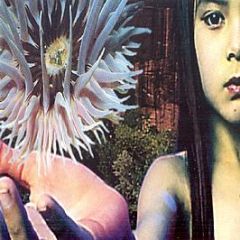 Future Sound Of London - Lifeforms Album - Virgin