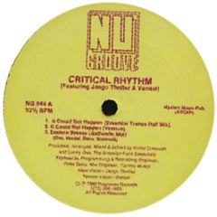 Critical Rhythm - Fall Into A Trance - Nu Groove