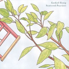 Ezekiel Honig - Scattered Practices - Microcosm Music