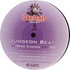 Dungeon Beats - Who Knows - Cool Logik 4