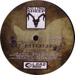 DJ Hidden - Past The Flesh (White Vinyl) - Killing Sheep