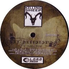 DJ Hidden - Past The Flesh (White Vinyl) - Killing Sheep