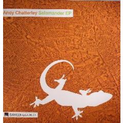 Andy Chatterley - Salamander - Saved