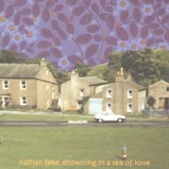 Nathan Fake - Drowning In A Sea Of Love - Border Community