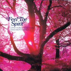 Various Artists - Feel The Spirit - Optimum