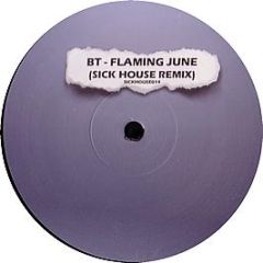 BT - Flaming June (Remix) - Sickhouse