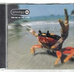 The Prodigy - The Fat Of The Land - XL