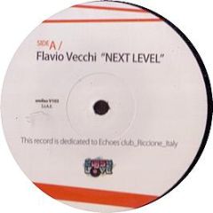 Flavio Vecchi & Ricky Montanari - Echoes - 2Djs4Love