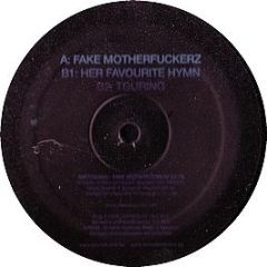 Ampersand - Fake Motherfuckerz - Lektroluv