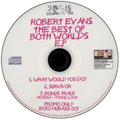 Robert Evans - The Best Of Both Worlds EP - Ecko 