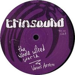 Various Artists - The Whole Wired World - Trimsound