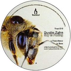 Dustin Zahn - Sky Is Falling - Truesoul