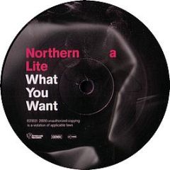 Northern Lite - What You Want - 1st Decade Records