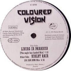 Coloured Vision - Violet Rain - Plasma Records