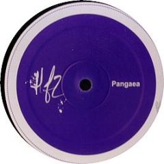Pangaea - Bear Witness - Hotflush Two 5