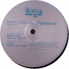 Kerri Chandler - Digitalsoul - Large