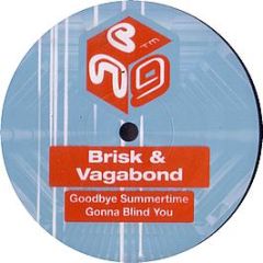 Brisk & Vagabond - Goodbye Summertime - Next Generation