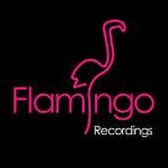 Re-United - Sun Is Shining - Flamingo